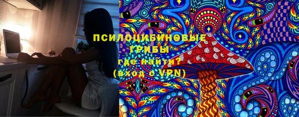 МДПВ Богданович