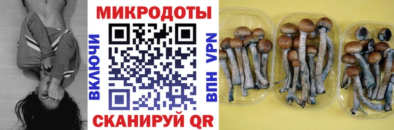 Псилоцибиновые грибы мицелий  даркнет сайт  Среднеуральск 